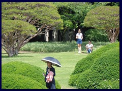 Shinjuku Gyoen 45